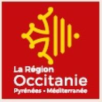 La Région Occitanie recherche Médecins - contact : Erika Borg - 06 30 19 97 58 -  erika.borg@masantemaregion.fr