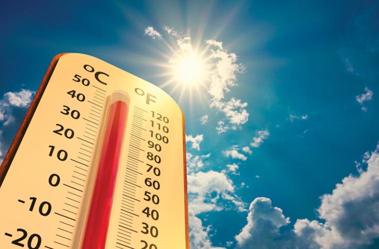 +4 °C en 2100 : comment impulser (collectivement) le changement ?