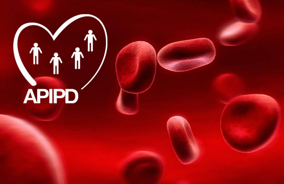 Logo Apipd.fr
