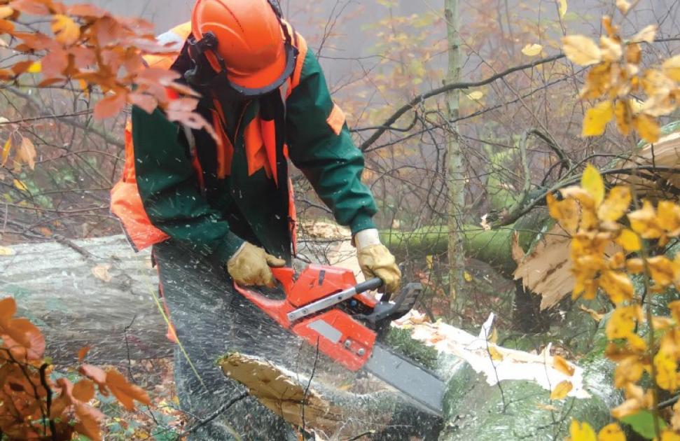 Protéger les travailleurs contre les morsures de tiques