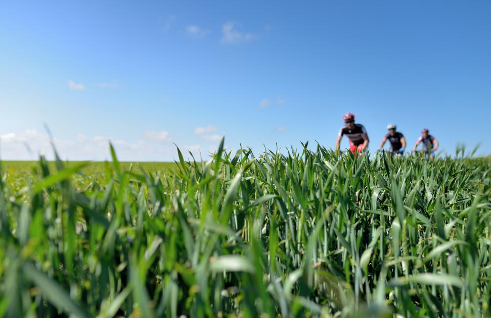 Dépôt du projet de santé : pour la CPTS, une première étape en équipe… et à vélo !