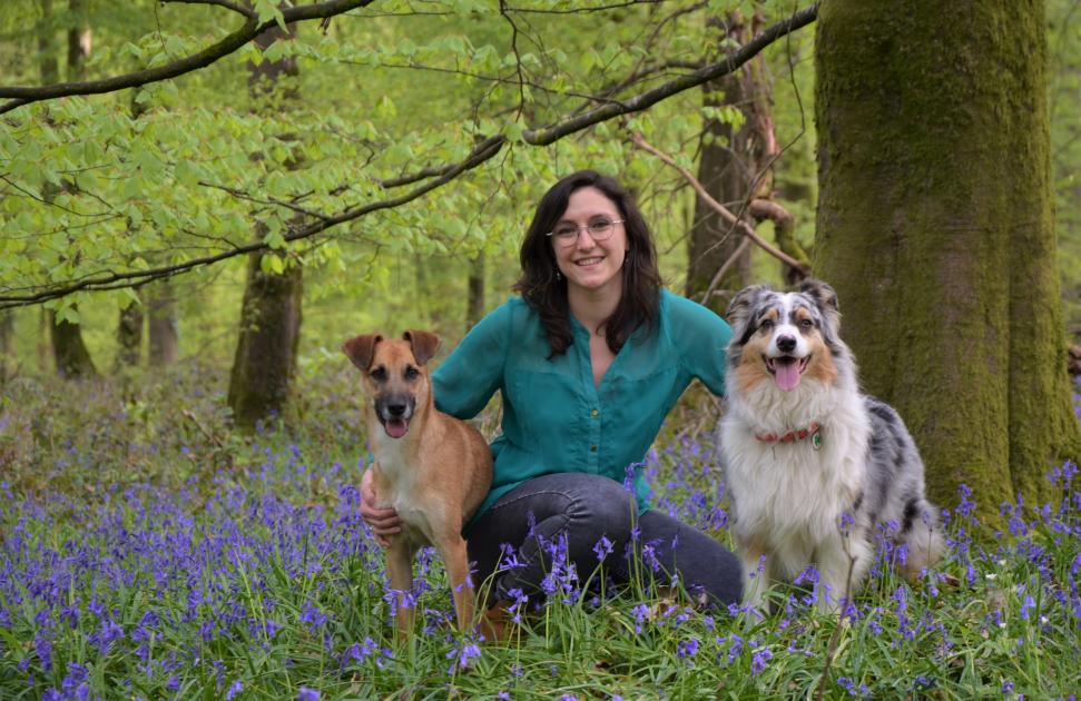 Médiation animale : Coordinov rompt l'isolement des patients