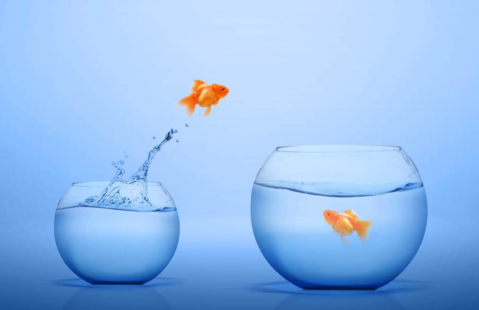 Pour avoir des locaux "plus adaptés pour continuer à exercer", les médecins quittent la maison médicale pour la maison de santé de la ville d’à-côté