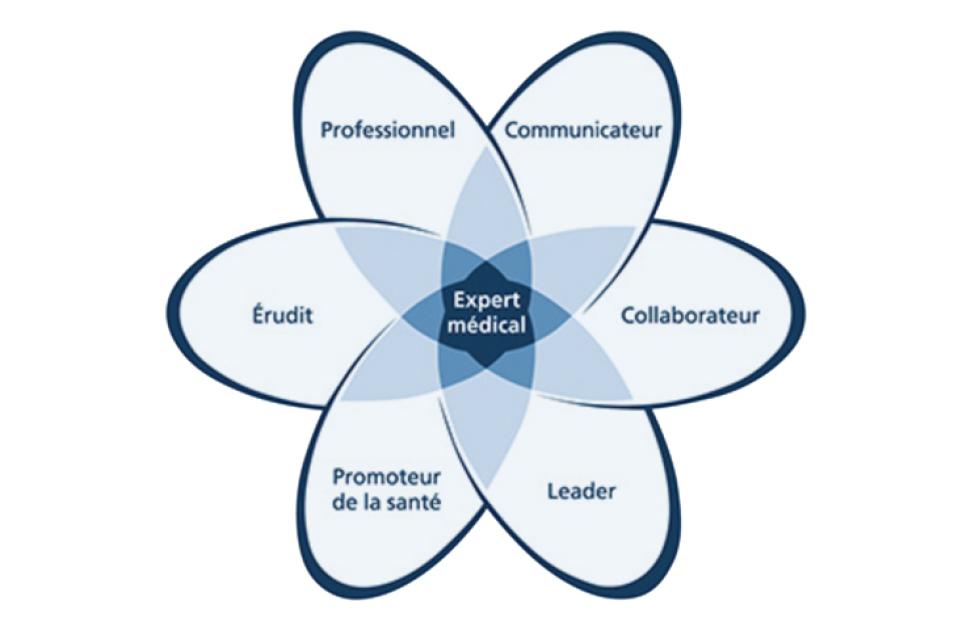 "Patient-centered" dès la formation initiale ?