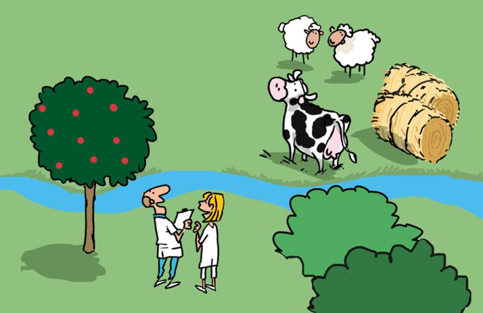 Comment s'inventer (ou se réinventer) pour attirer des professionnels ?