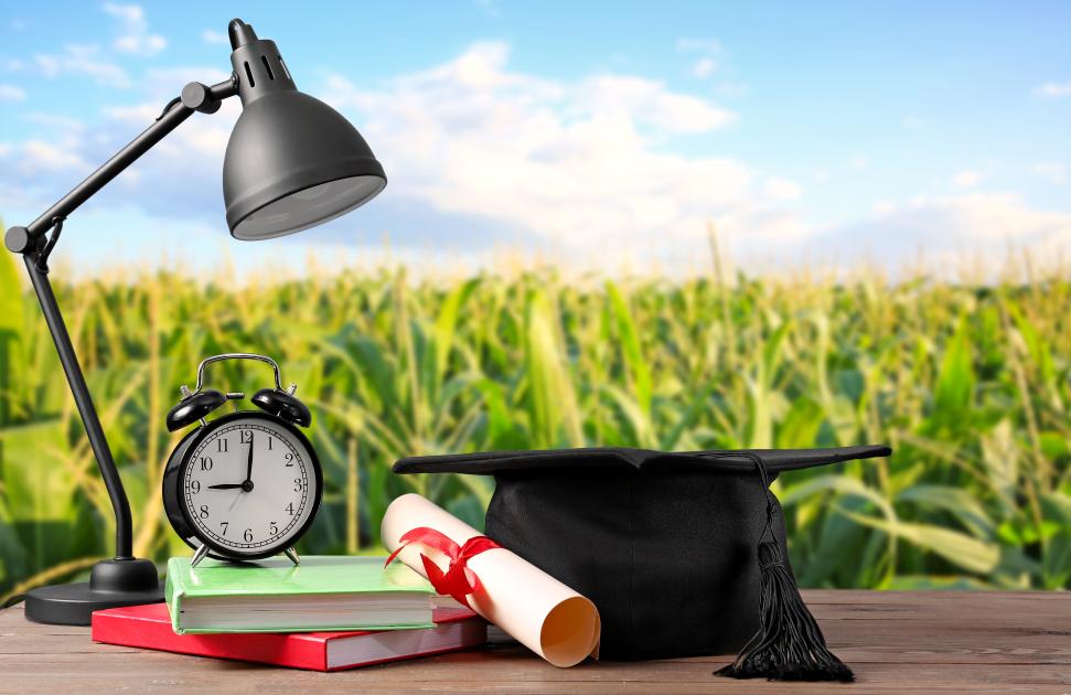 CPTS et 4e année de médecine générale : un deal gagnant-gagnant ?