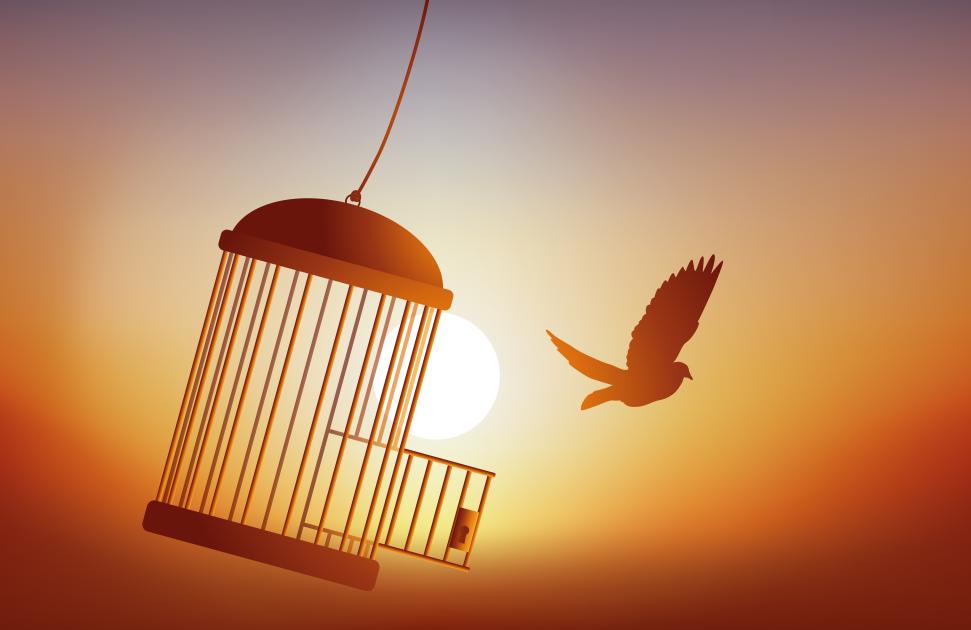 "Maison de santé, CPTS : contrainte ou liberté ?" : avec son Rendez-vous de l'exercice coordonné, Doctolib veut lever les réticences