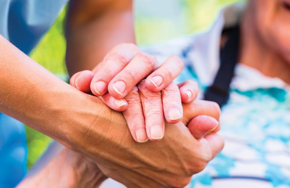 Article 51. Icope : soins intégrés pour personnes âgées