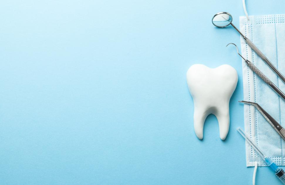 Article 51 : l'expérimentation de prévention en santé orale "Expreso" officiellement terminée