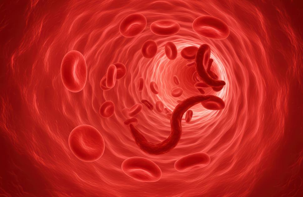 Drep'info, un centre d'information et de dépistage au sein d'une MSP