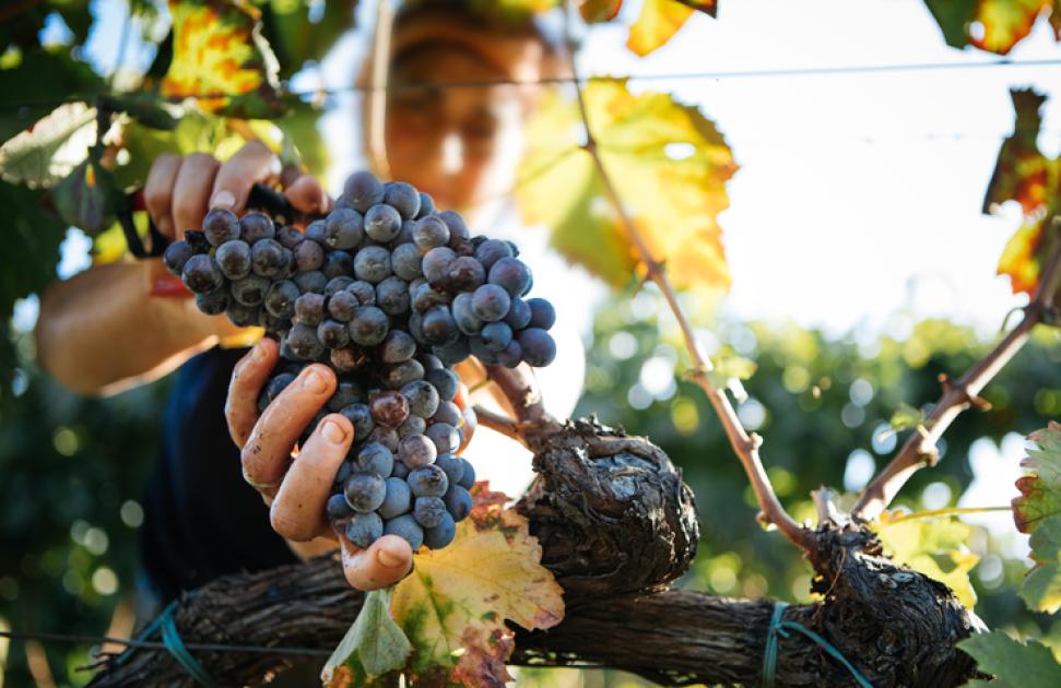 Quel suivi de santé pour les travailleurs saisonniers ?
