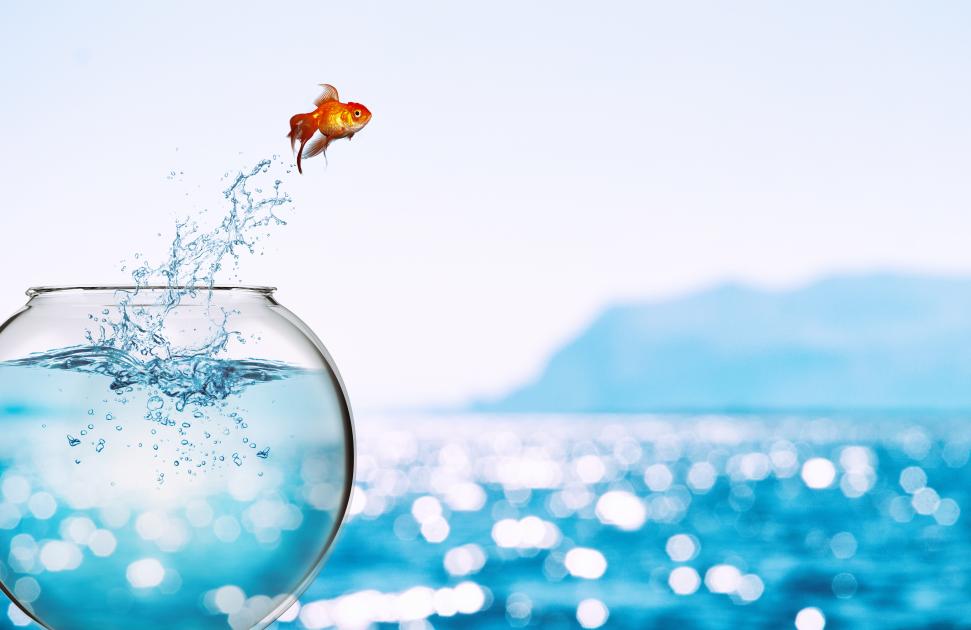 "Il faut sortir d'une recherche médico-centrée pour s'associer à d'autres professionnels et disciplines"