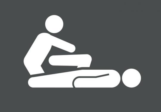 masseurs-kinésithérapeutes et SNP