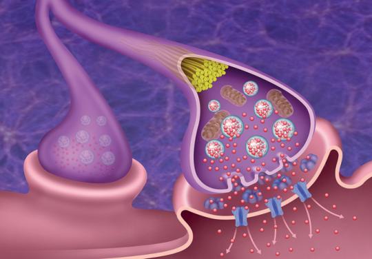 Maladie de Parkinson