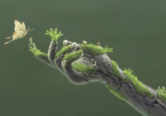 one health animal plante humain