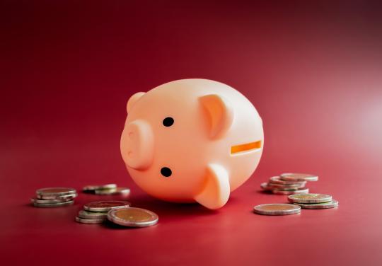 Un gain de 353 euros pour le statut IPA : une enquête dénonce la reconnaissance salariale "insignifiante"