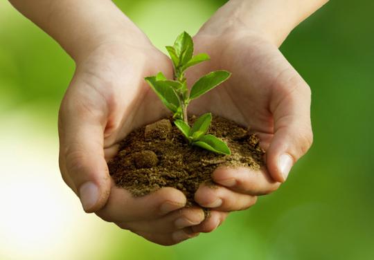 Santé humaine et planétaire, même combat