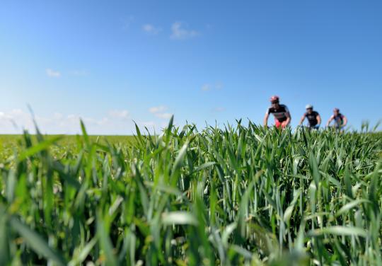 Dépôt du projet de santé : pour la CPTS, une première étape en équipe… et à vélo !