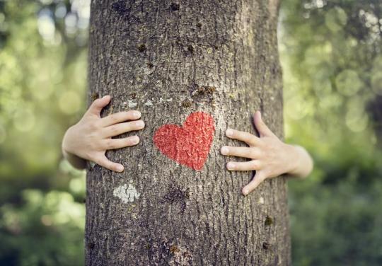 Prescription de nature : le centre de santé Le Jardin à la recherche d’un "outil concret et acceptable par tous"