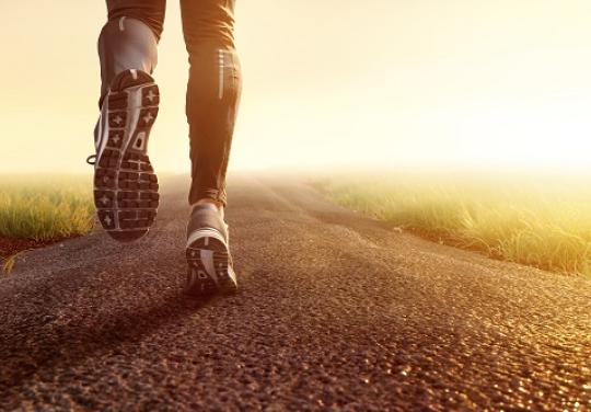 L'activité physique pour lutter contre la maladie : la fondation Vaincre Alzheimer donne le top départ à "Bouge ton cerveau"