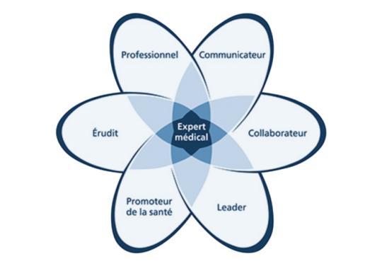 "Patient-centered" dès la formation initiale ?