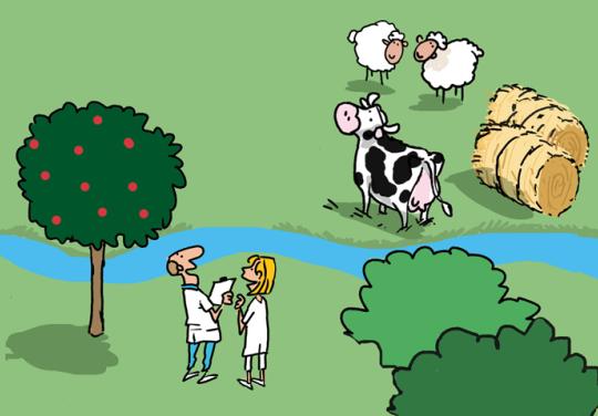 Comment s'inventer (ou se réinventer) pour attirer des professionnels ?