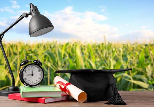 "Une première brique pour aider le territoire" : n lycée développe une « option santé » pour inciter les professionnels de demain