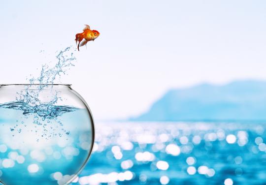 "Il faut sortir d'une recherche médico-centrée pour s'associer à d'autres professionnels et disciplines"