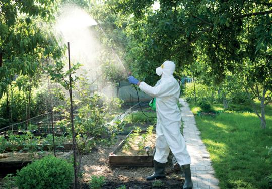 Maladies professionnelles : l'impact de l'exposition aux pesticides
