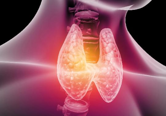 Thyroïde