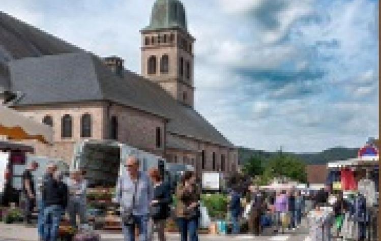 REPRISE CABINET MÉDICAL – GÉRARDMER (88) - Contact : reprise.cabinet88400@gmail.com