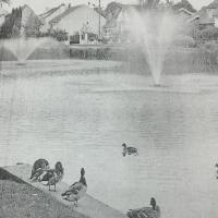 Cède clientèle avec vente de murs - Val d'Oise